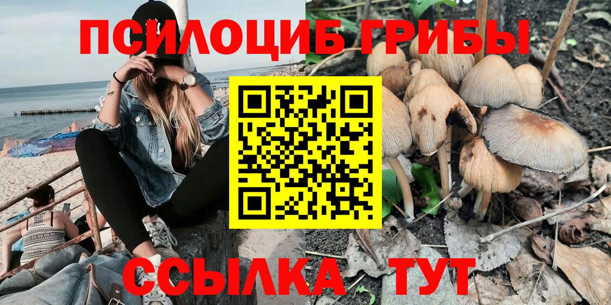 Псилоцибиновые грибы прущие грибы Азнакаево